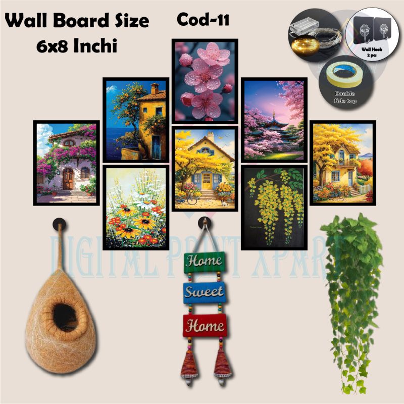 পাখির বাসা কম্বো প্যাকেজ | Cod-11